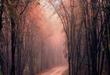 官宣！吉林男篮已与外援马里克-纽曼完成签约.