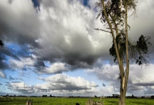 里贝里专访:穿上拜仁球衣总让我心潮澎湃 2013年是我生涯的巅峰.