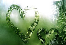 42岁张志磊回应落败:遗憾,十几年来没有一天不和自己玩命九派新闻.