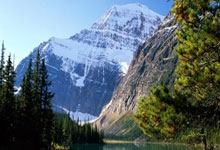 CBA-6人得分上双 辽宁116-76福建大胜对手40分.