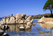 思考专用小棉袄17小时前.